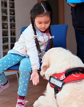 Ein Mädchen hält einem Hund die Hand hin