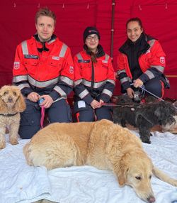 In guten Händen: Ehrenamtliche der Malteser betreuen Hunde, während ihre Besitzerinnen und Besitzer die Veranstaltung genießen. Archivfoto: Sabine Wigbers