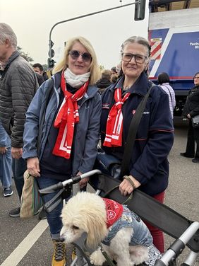 Zwei Malteserinnen, davor ein kleiner Hund