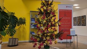 Der Wunschbaum der Malteser mit vielen gelben Wunschsternen steht im Foyer des Rathauses in Bad Aibling.