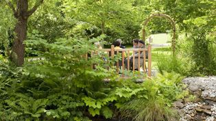 Park mit vielen Bäumen und einer kleinen Holzbrücke