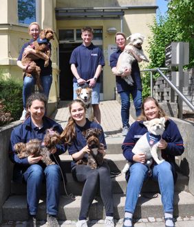 Die neuen Mensch-Hunde-Teams in Rostock