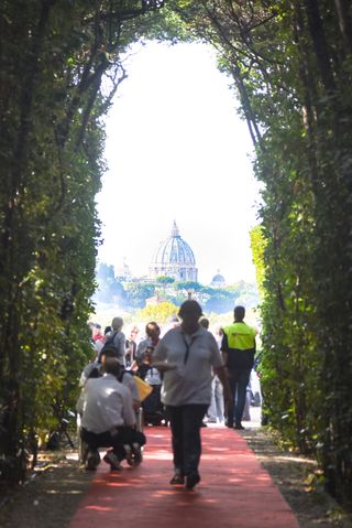 Blick durch Hecken auf den Petersdom in Rom mit Teilnehmenden und Helfenden der Malteser Romwallfahrt unterwegs zu Fuß im Mittelgrund. 