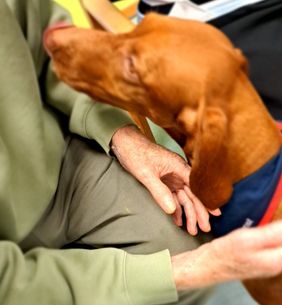 Senioren streicheln Besuchshund Jess