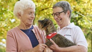 Eine Seniorin und eine ehrenamtliche Helferin der Malteser streicheln einen Hund