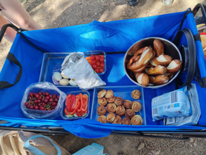 ein blauer Bollerwagen enthält Lebensmittel für ein Picknick