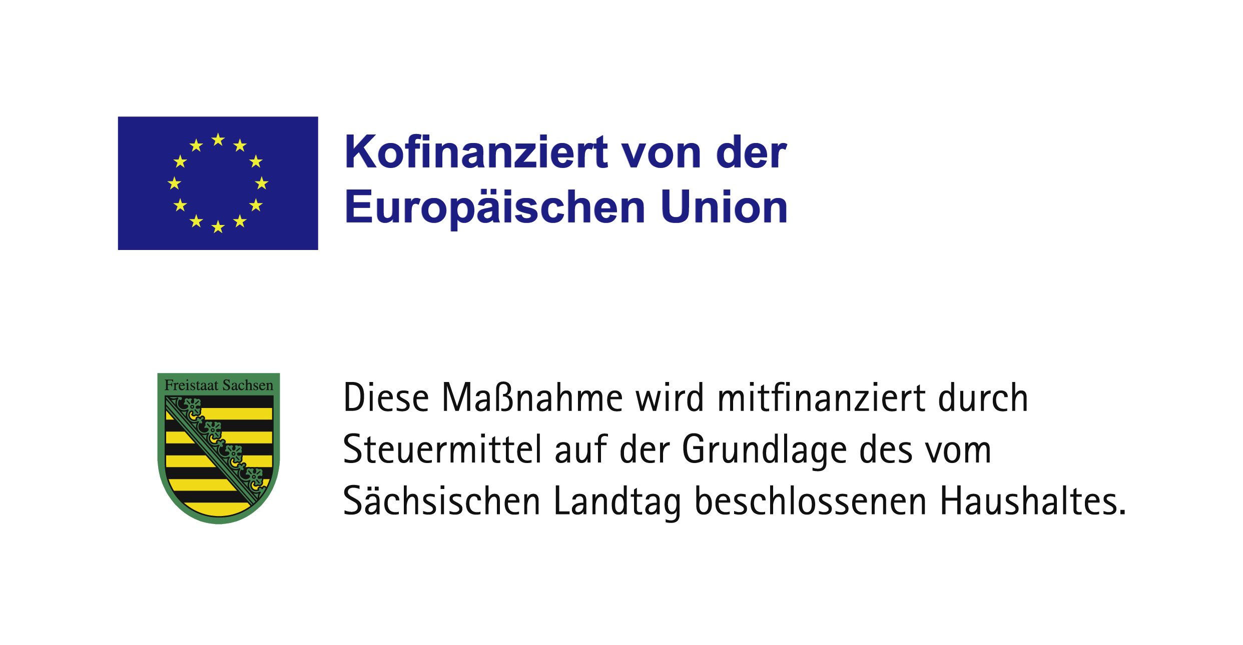 Grafik mit EU-Flagge und dem Text „Kofinanziert von der Europäischen Union“ sowie dem Wappen des Freistaats Sachsen. Daneben steht der Hinweis, dass die Maßnahme durch Steuermittel auf Grundlage des vom Sächsischen Landtag beschlossenen Haushalts mitfinanziert wird.