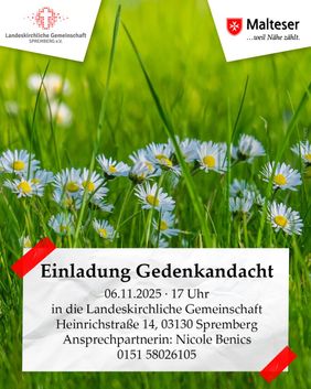 Gänseblümchen auf einer Wiese mit Hinweis auf die Veranstaltung