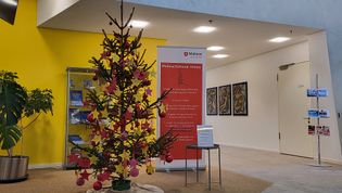 Ein Tannenbaum, an dem Kugeln und Papiersterne mit Wünschen hängen, steht im Rathaus von Bad Aibling.