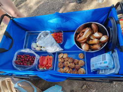 ein blauer Bollerwagen enthält Lebensmittel für ein Picknick