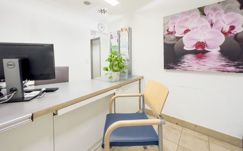 Aufnahme mit Stuhl vor Tresen, Topfpflanze und Wandbild mit Blumenmotiv.