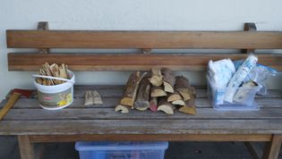 Auf einer Holzbank liegen Holzscheite in verschiedenen Größen und Utensilien zum Feuermachen