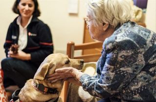 Seniorin streichelt einen Hund, im Hintergrund die Hundehalterin