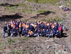 Große Gruppe von Freiwilligen versammelt sich auf einer offenen Waldfläche und posiert mit Spaten und Werkzeugen während einer gemeinsamen Baumpflanzaktion. Im Hintergrund sind Äste, Holzreste und vorbereitete Flächen zu sehen, die auf die Wiederaufforstung des Gebiets hinweisen.