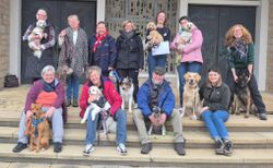 10 Mensch-Hund-Teams vom Malteser Hilfsdienst e.V. Neustadt sitzen auf einer Treppe (Quelle: Malteser Neustadt)