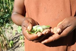 Haïti