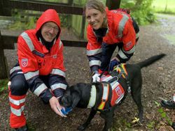 Am heutigen 20. Februar ist “Liebe-dein-Haustier-Tag“