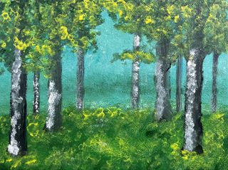 der Wald erwacht_Fynn