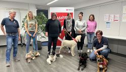 Sechs neue Mensch-Hund-Teams gibt es bei den Maltesern in Hennef v.l.: Elke Wertenbruch (Leiterin des Dienstes), Evelyn Kraus mit Hündin Judy, Elke Brunowsky und Sam, Beate Gerber-Lentzen und Emmi, Hundetrainerin Britta Gasparics, Corinna Lenz mit Rosinchen sowie Angelika Klein und ihre Hunde Ylvie und Mara. 