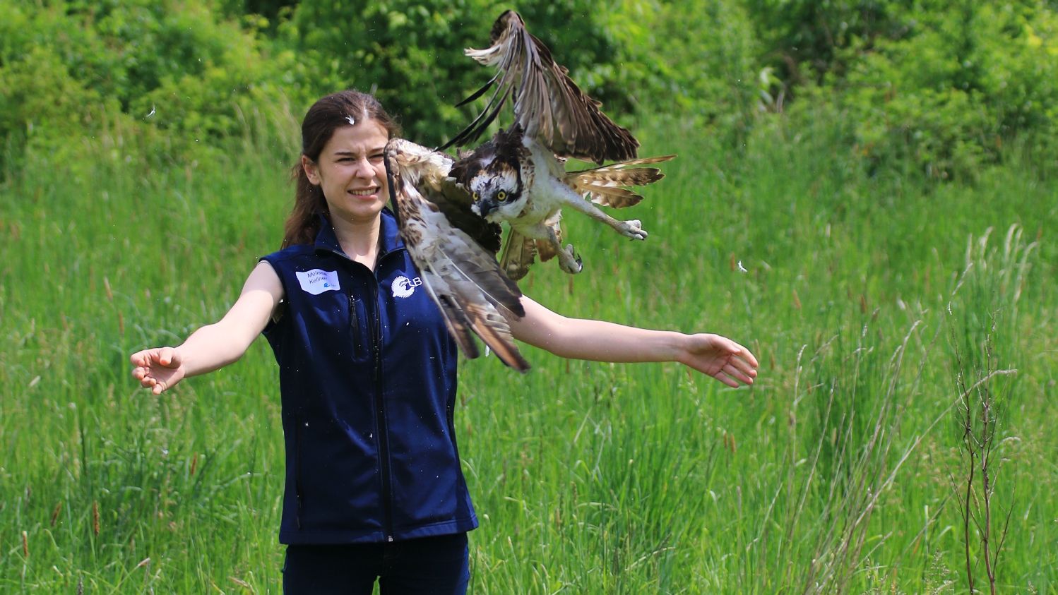 Eine junge Frau entlässt einen Raubvogel in die Freiheit. Bild: Ferdinand Baer