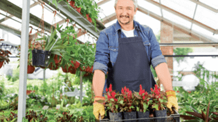 Malteser Integrationsfachdienst Symbolbild