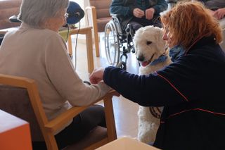 Malteser-Begleithund im Pflegeheim