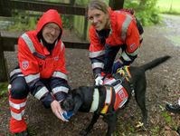 Am heutigen 20. Februar ist “Liebe-dein-Haustier-Tag“