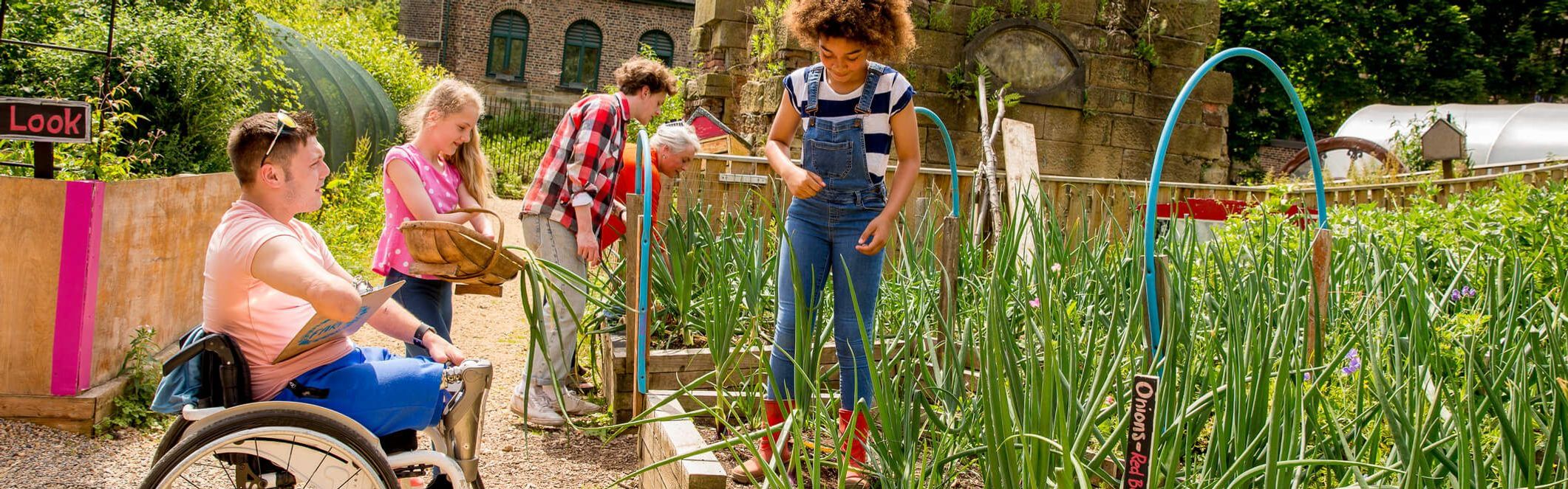 Junge Menschen gärtnern in gemeinsamen Garten