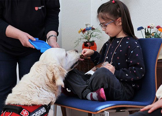 Ein Mädchen füttert einen Hund
