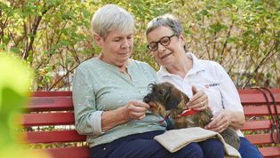 Zwei ältere Frauen sitzen mit einem Rauhaardackel auf einer Parkbank vor Bäumen