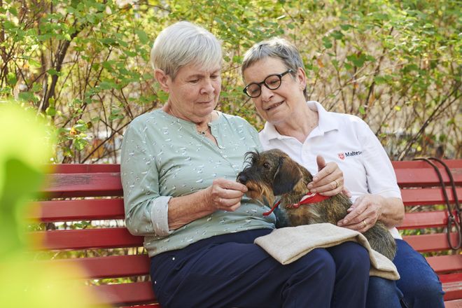 Eine ehrenamtliche Malteserin und eine ältere Dame sitzen auf einer Parkbank und streicheln einen Besuchshund. 