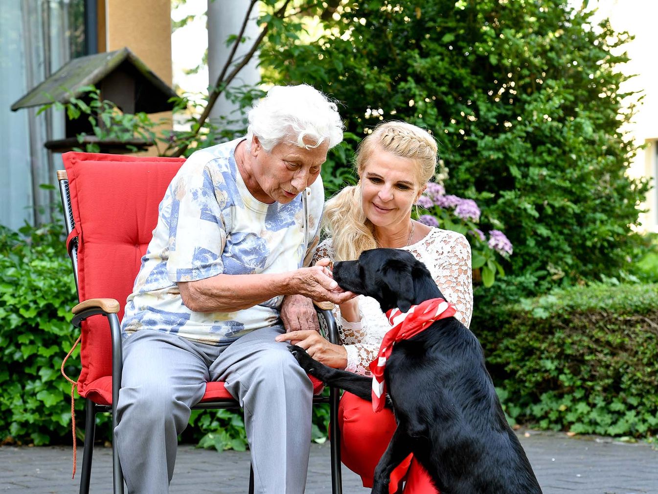 Bewohnerin bekommt Hundebesuch im St. Hedwig 