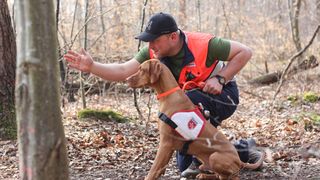 Hundeführer der Malteser Rettungshundestaffel gibt seinem Hund einen Einsatzbefehl