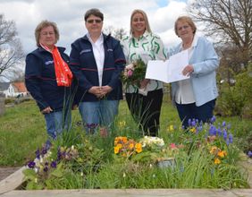 Malteser, Celle, Hannover