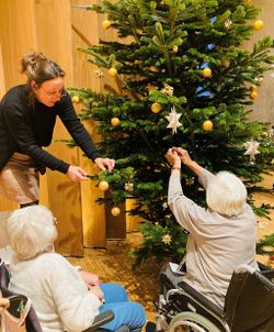 Susanne Behem-Loeffler (Campus-Leiterin) und zwei Seniorinnen schmücken den Weihnachtsbaum auf der Plaza des Campus.