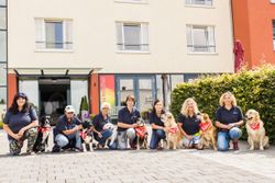 Einsatzbereit: Das Team des Malteser Besuchs- und Begleitungsdienstes mit Hund. Sieben ehrenamtliche Helferinnen und ihre Hunde. Rechts im Bild Tanja Fäller mit Hund Marley. Foto: Jan Fäller