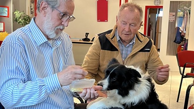 Zwei Männer füttern einen schwarz-weißen Border Collie mit Leckerlies. (Foto: Julia Krill)