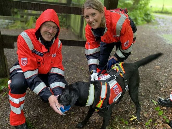 Am heutigen 20. Februar ist “Liebe-dein-Haustier-Tag“