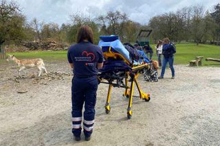 ehrenamtliche Helferin begleitet kranke Frau in den Wildpark