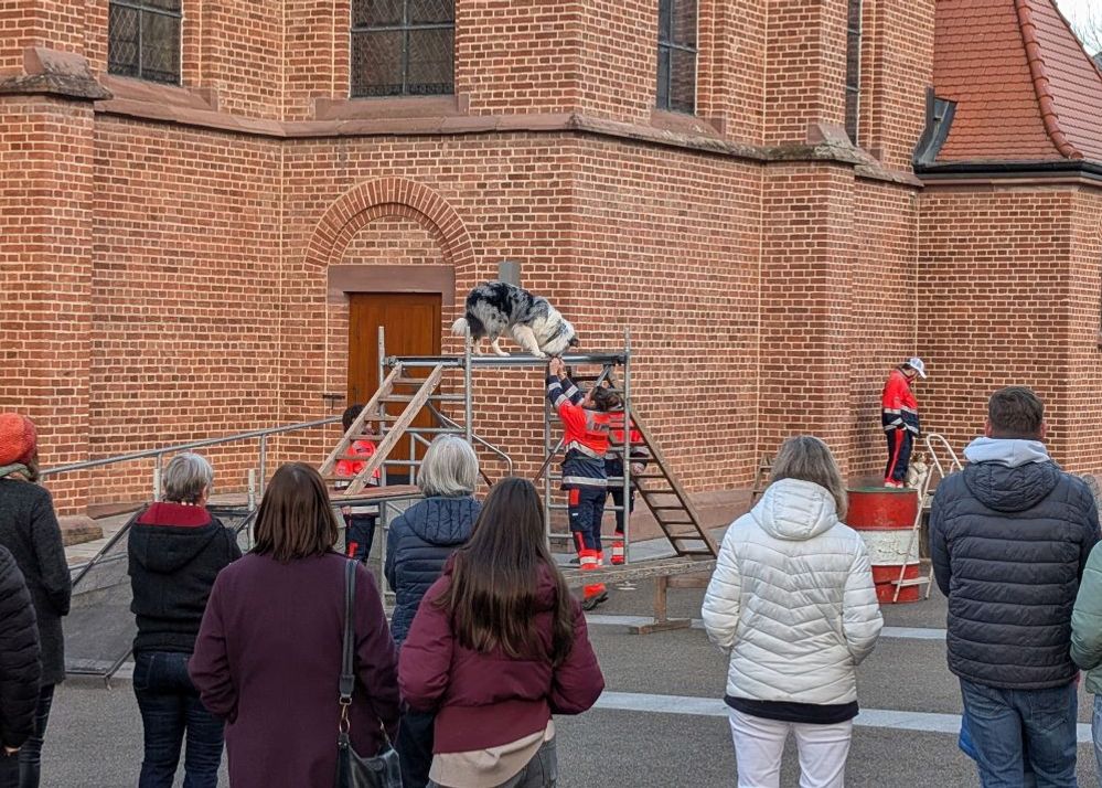 Die Rettungshundestaffel aus Rottenburg zeigte auf dem Vorplatz ihr Können.