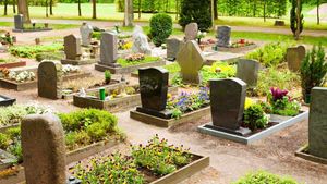 Grüner Parkfriedhof während des Frühlings.