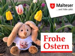 Ein Hase sitzt zwischen Tulpen und wünscht Frohe Ostern