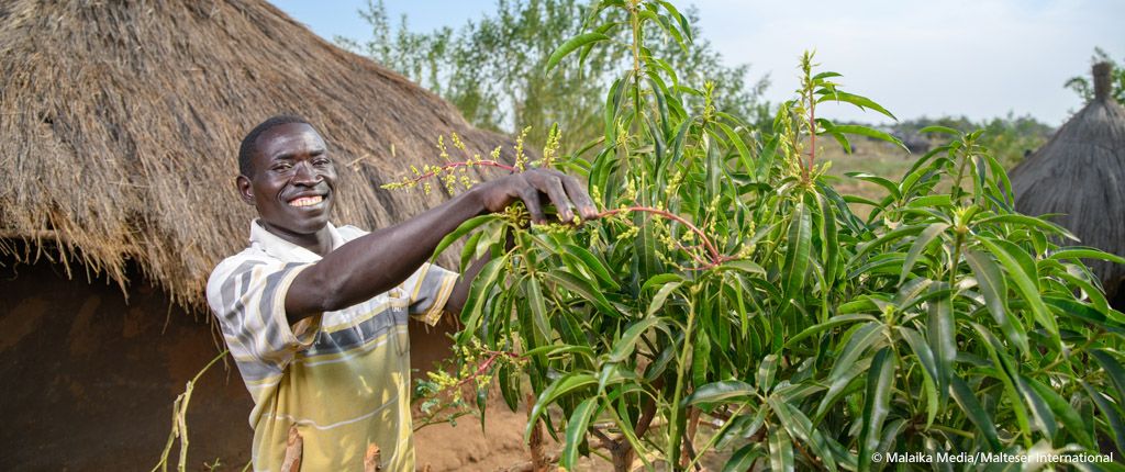 Aufforstung in Uganda