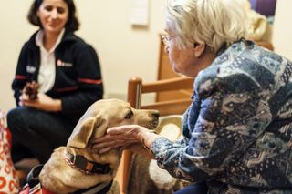 Besuche mit Hund