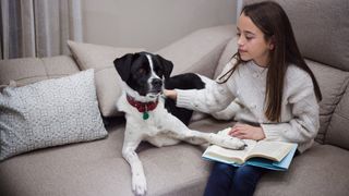 Mädchen sitzt mit Hund auf der Couch und liest