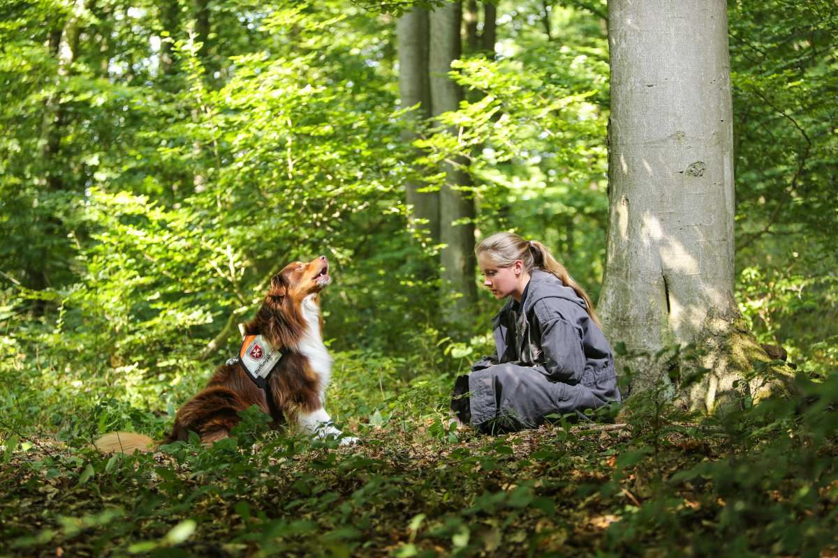 Ein Rettungshund und eine junge Frau in einem Wald