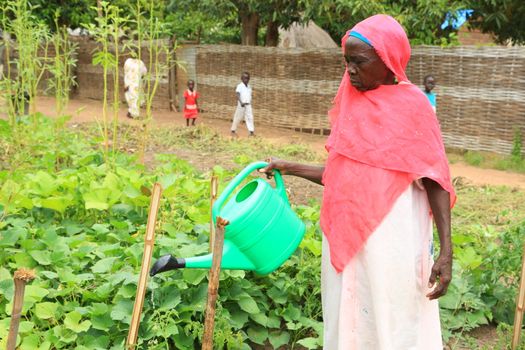 Sichere Ernährung und Wasserzugang für Rückkehrende im Südsudan