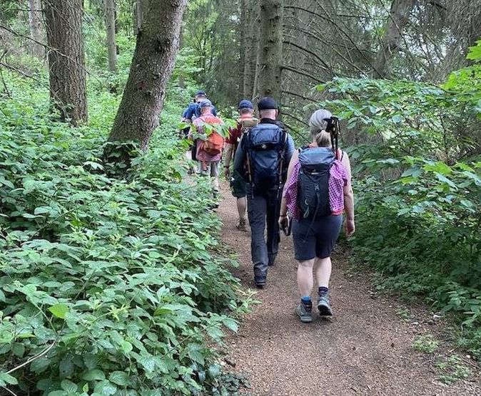 Eine Gruppe wandert im Wald