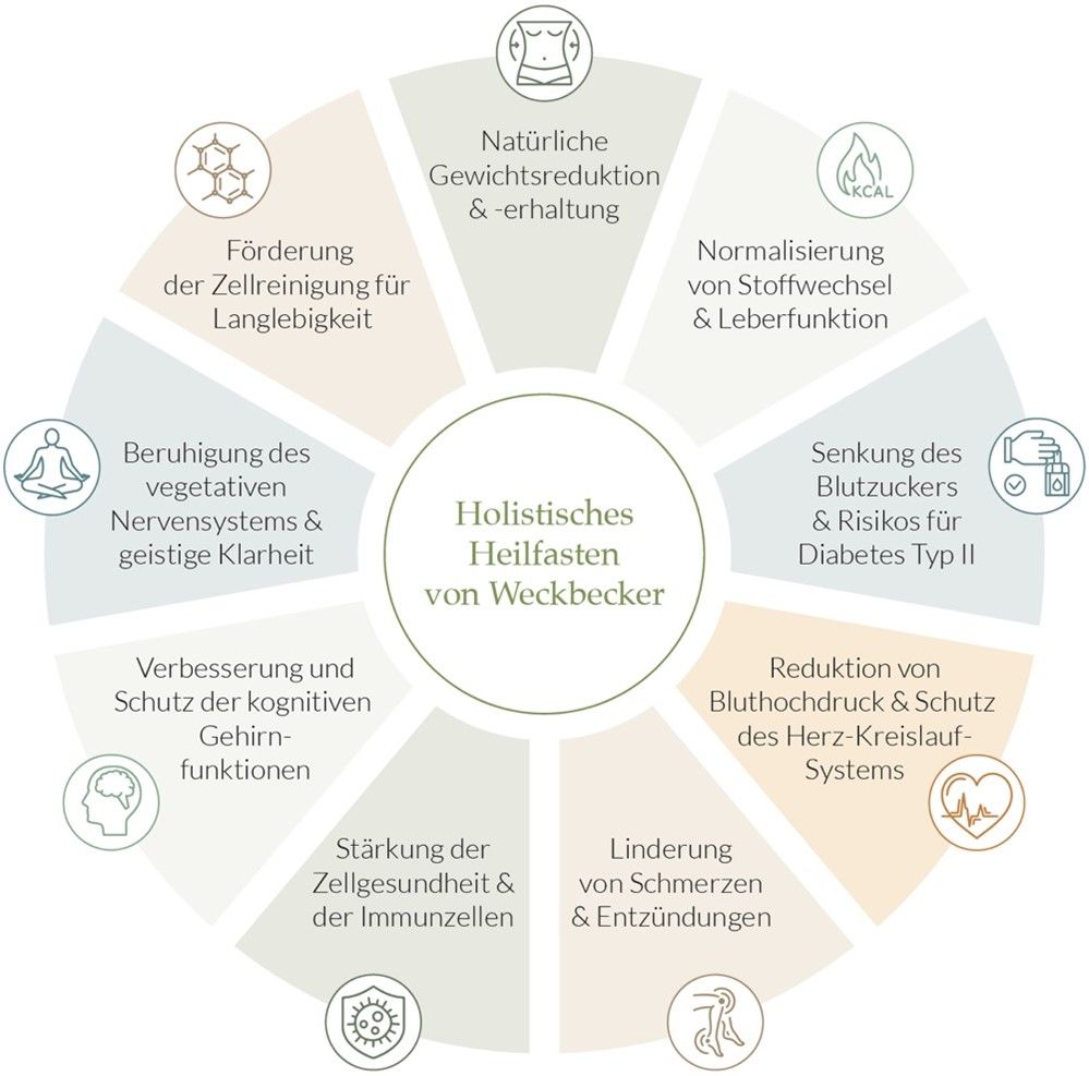 Zu sehen ist ein Schaubild mit den Vorteilen des Holistischen Heilfastens von Weckbecker - Unter anderem: Natürliche Gewichtsreduktion, Senkung des Typ 2 Diabetes Risikos, Blutdruckreduktion, Linderung von Schmerzen und Entzündungen