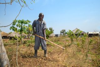 Aufforstung im Arua-Distrikt
